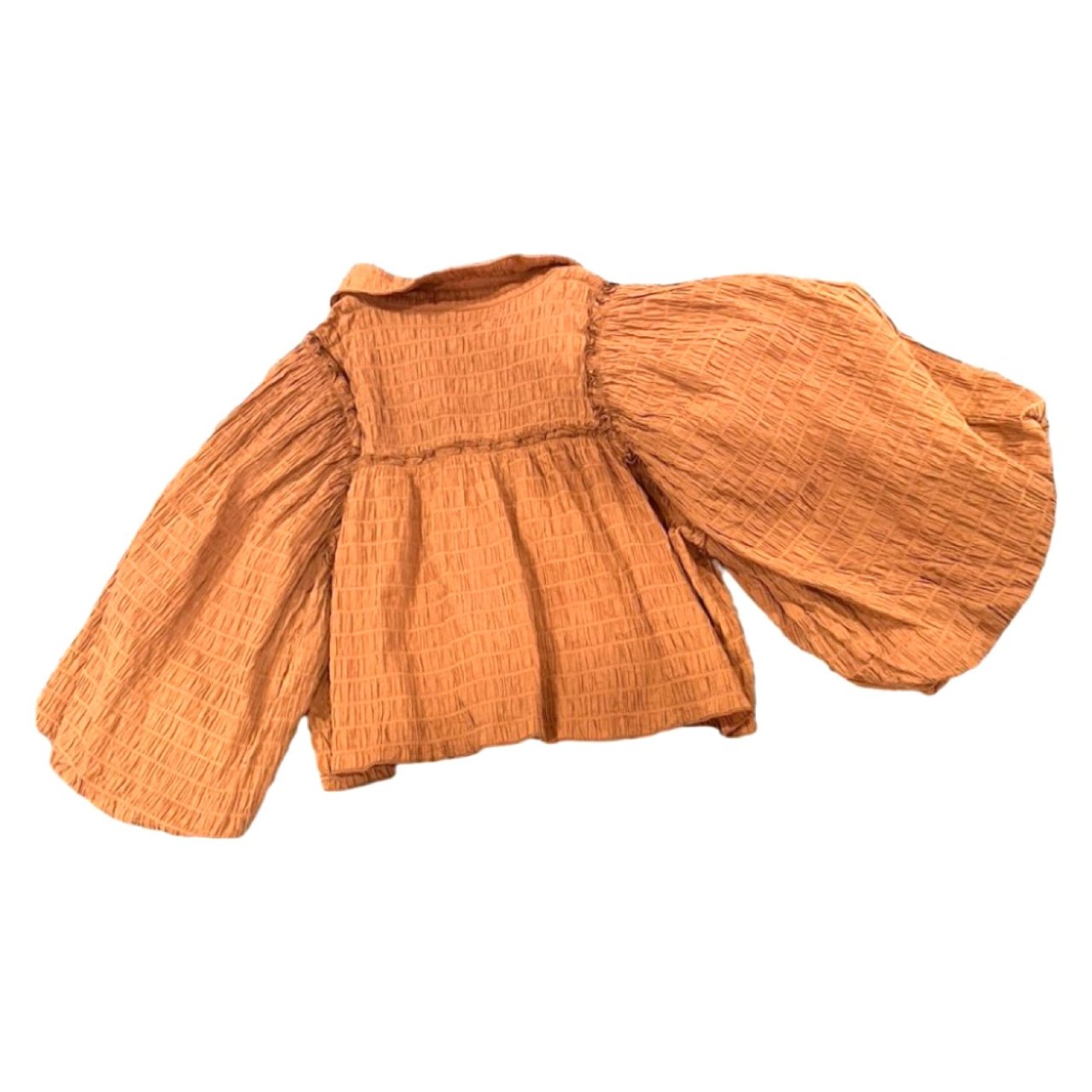 Burnt Orange Sovere Cotton Cropped Blouse
